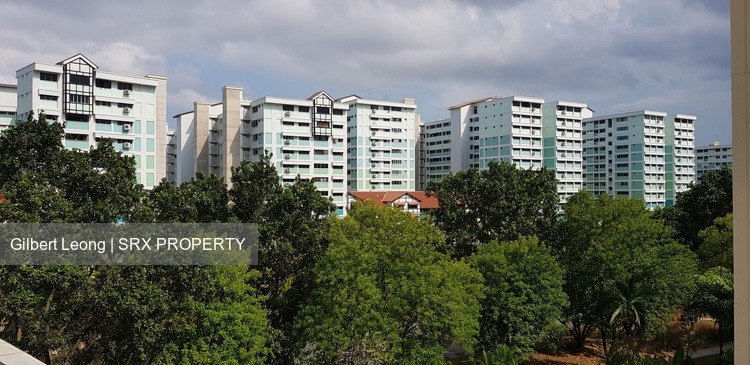 Pasir Ris Street 51 thumbnail photo